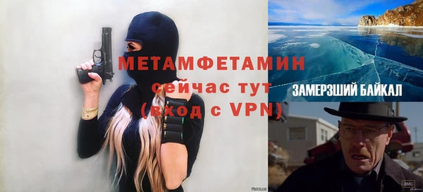 ГАЛЛЮЦИНОГЕННЫЕ ГРИБЫ Аркадак