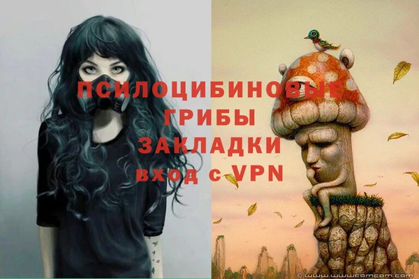ГАЛЛЮЦИНОГЕННЫЕ ГРИБЫ Балабаново