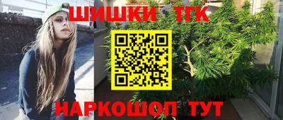 индика Волгодонск