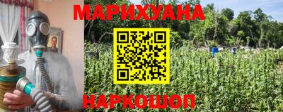 индика Волгодонск