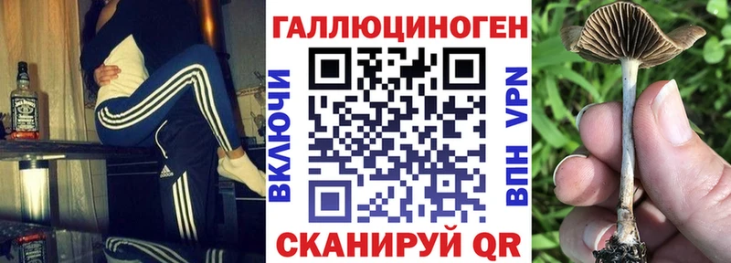 цены наркотик  Зима  hydra как зайти  Галлюциногенные грибы прущие грибы 