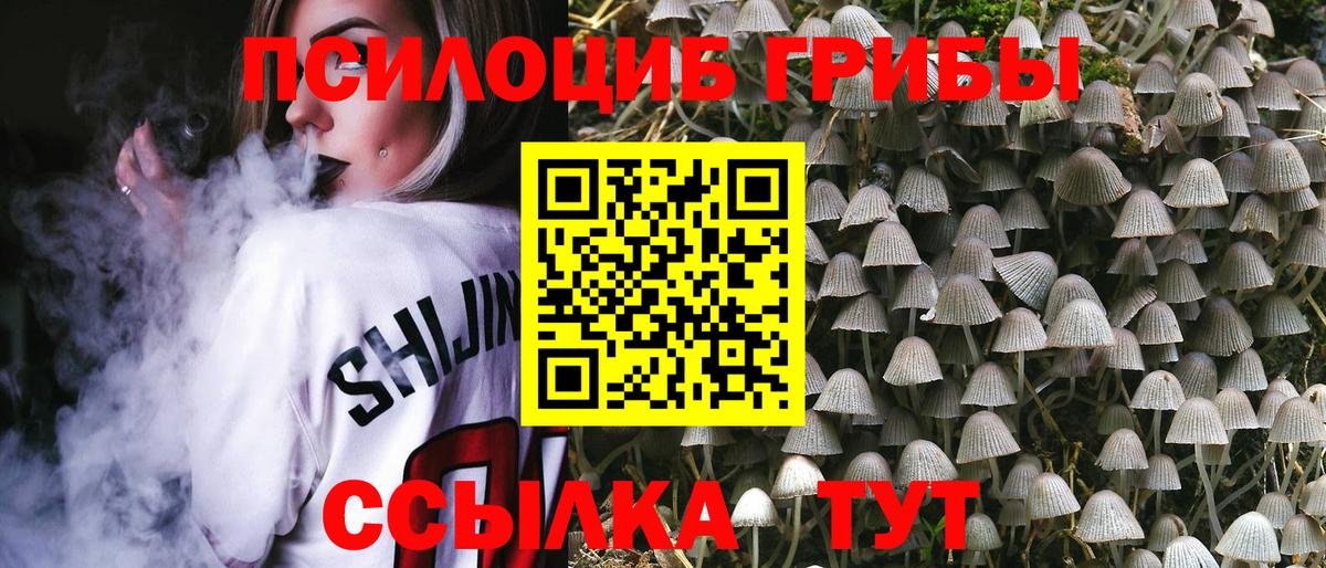 Галлюциногенные грибы GOLDEN TEACHER Зима