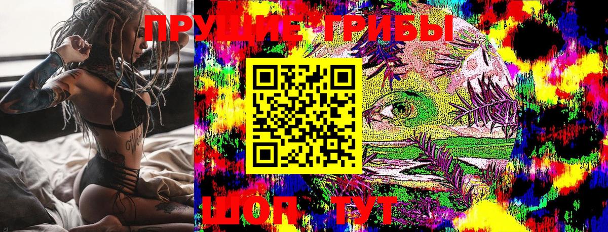 Зима  Псилоцибиновые грибы GOLDEN TEACHER  Вход с VPN  Псилоцибиновые грибы GOLDEN TEACHER 