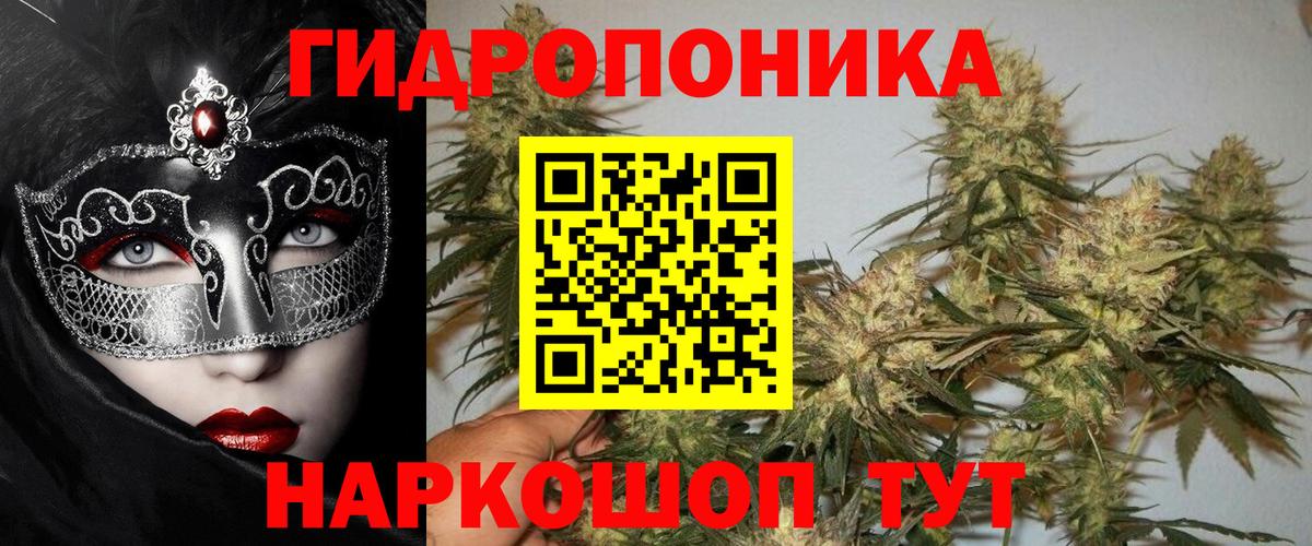 Шишки марихуана Ganja Зима